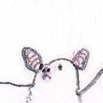 Zeichnung Fledermaus