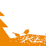  Vögel im Winter 